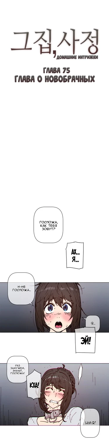 Household Affairs - глава 75 (Домашние интрижки)