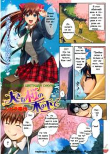 Under the Great Cherry Blossom (Под сенью сакуры)