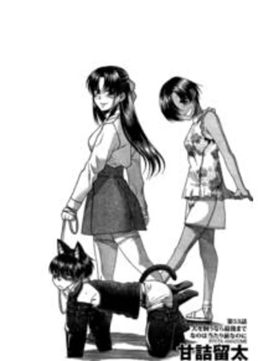 Nana to Kaoru - глава 79 (Нана и Каору)