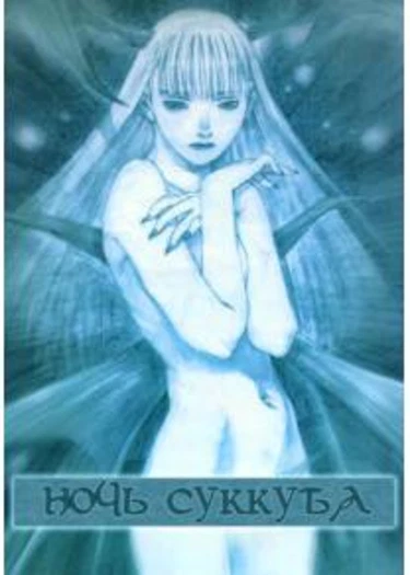 Night of the Succubus (Ночь суккуба)