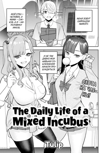 Повседневная жизнь инкуба-полукровки (The Daily Life of a Mixed Incubus)