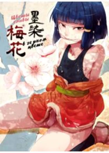 Цветы сливы в чёрном цвете (Sumizome no Baika)