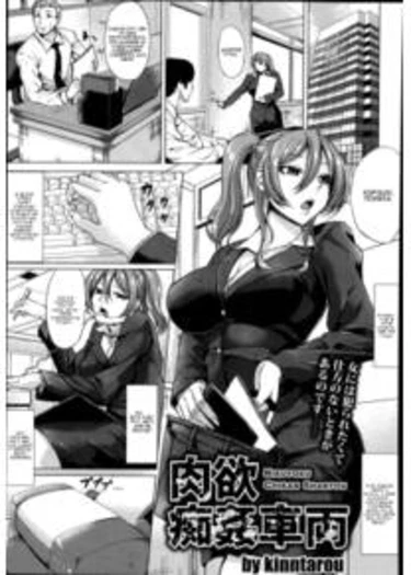 Nikuyoku Chikan Sharyou